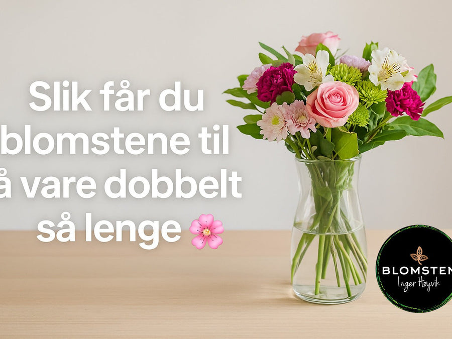 Gi blomstene kjærlighet – og de varer mye lenger