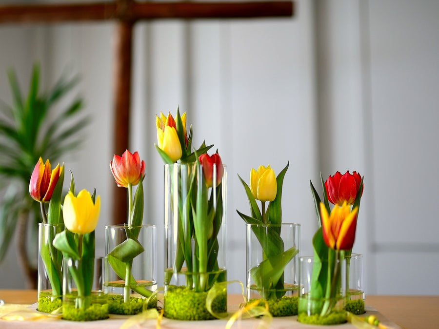 Ta vare på tulipanene dine: Slik øker du levetiden til dine favorittblomst