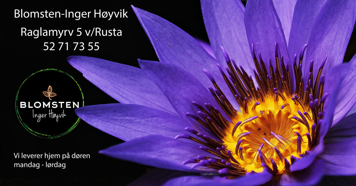Blomsterdekorasjon fra Blomsten Inger Høyvik – blomsterbutikk i Haugesund & Karmøy