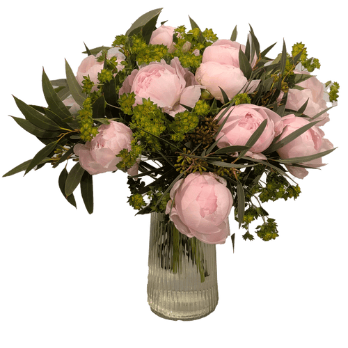 Rosa Peoner med grønt