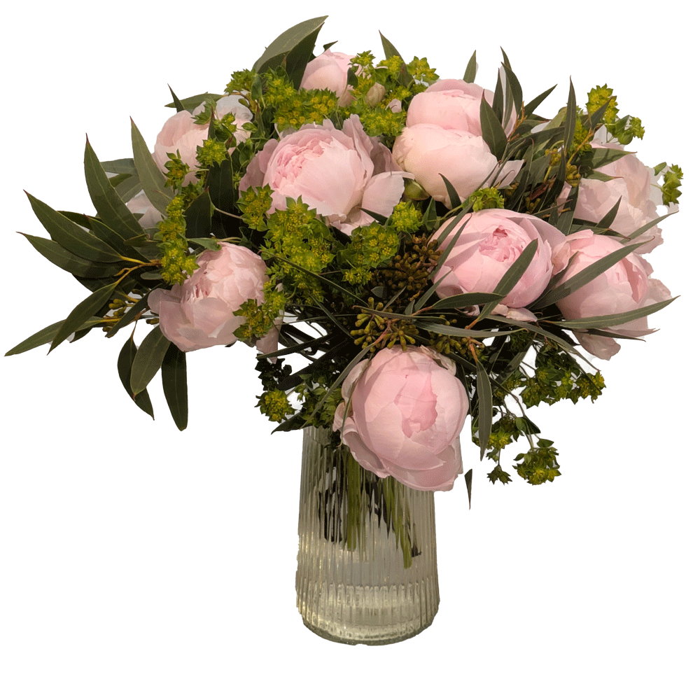 Rosa Peoner med grønt