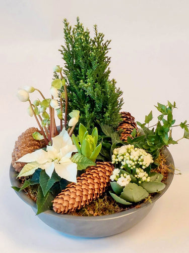 Hvite førjulshilsen