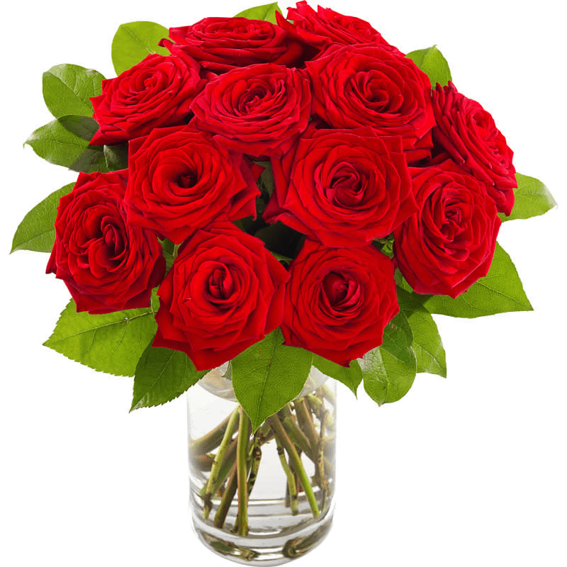 Klassisk romantisk bukett med røde roser – Kjærlighet