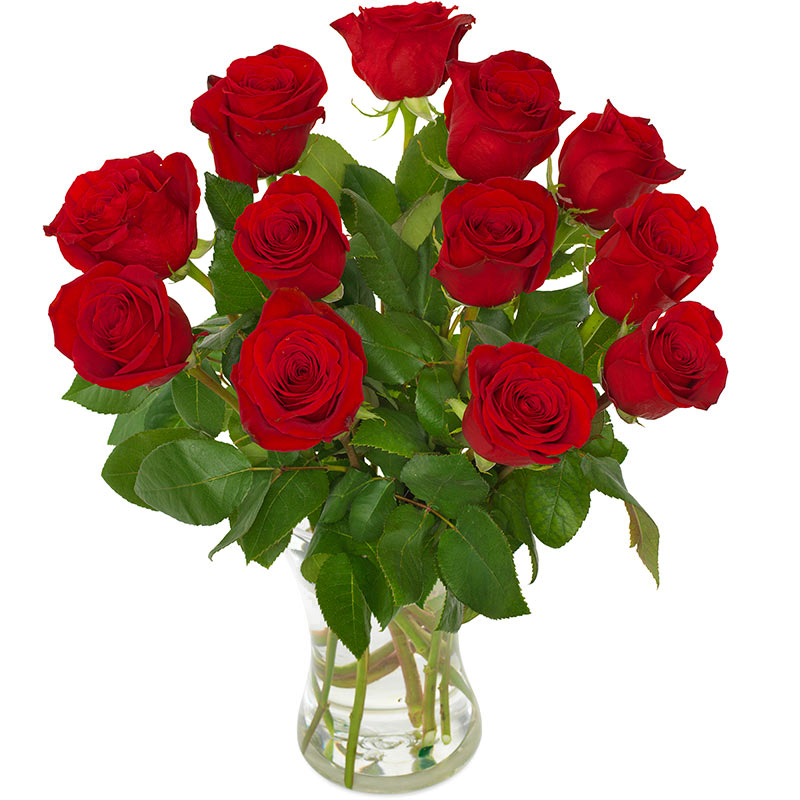 Blomster Roser