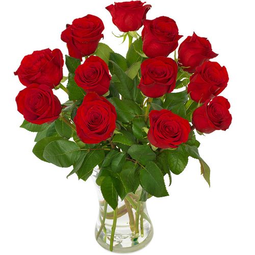 12 røde roser bukett håndbundet og klar til vasen