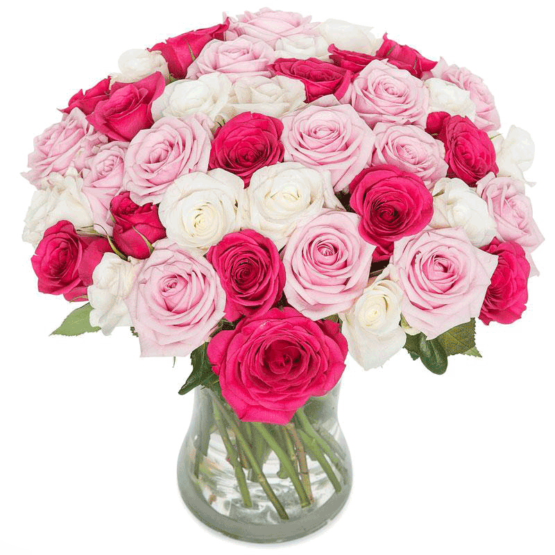 Blomster Roser