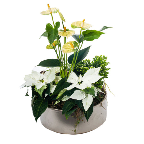 Julefeiring